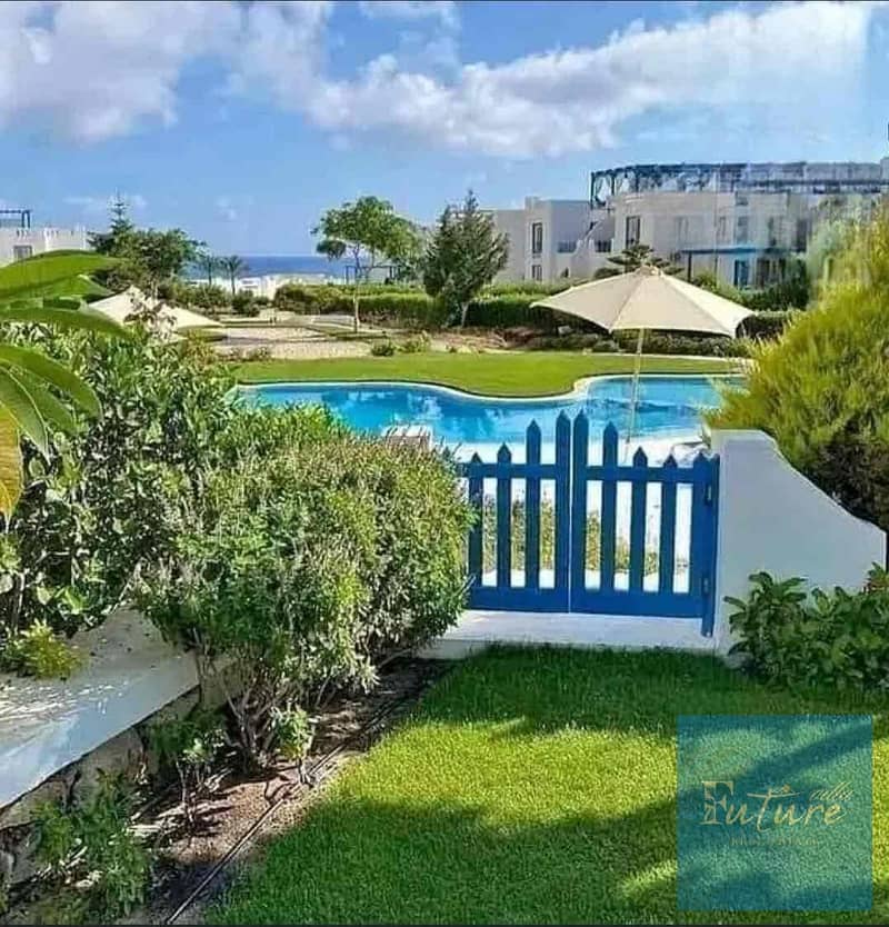 6 79fc6ea3-174b-40cb-817c-ed8bdc302d35. jpg