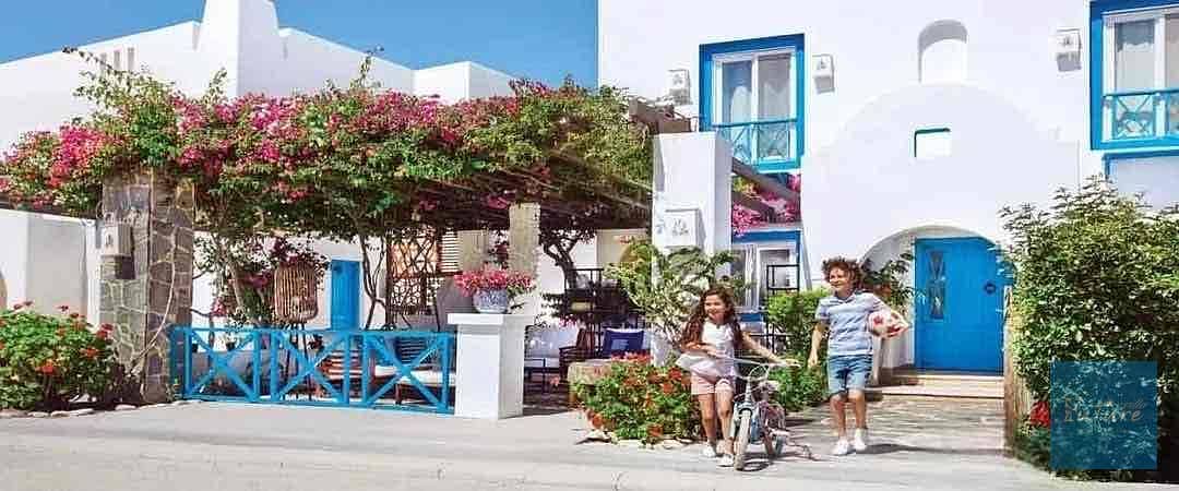 7 47579472-07c6-42da-a72a-6bd7f8fa045d. jpg