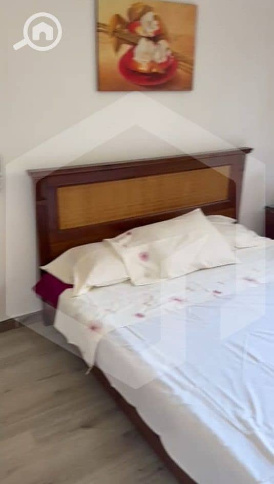 10 Palm Parks 10. jpg