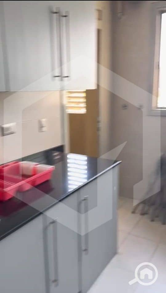 12 Palm Parks 12. jpg