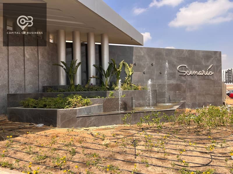 12 553225424_24586506851005554_8043816047682071579_n. jpg