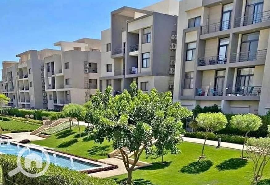 9 557611461_122160164516764430_2147579501119375501_n. jpg