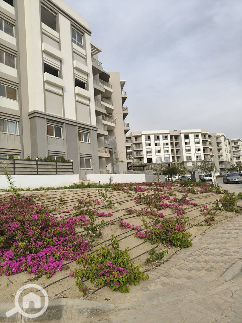 5 533396798_4062053017417527_6287174703323794744_n. jpg