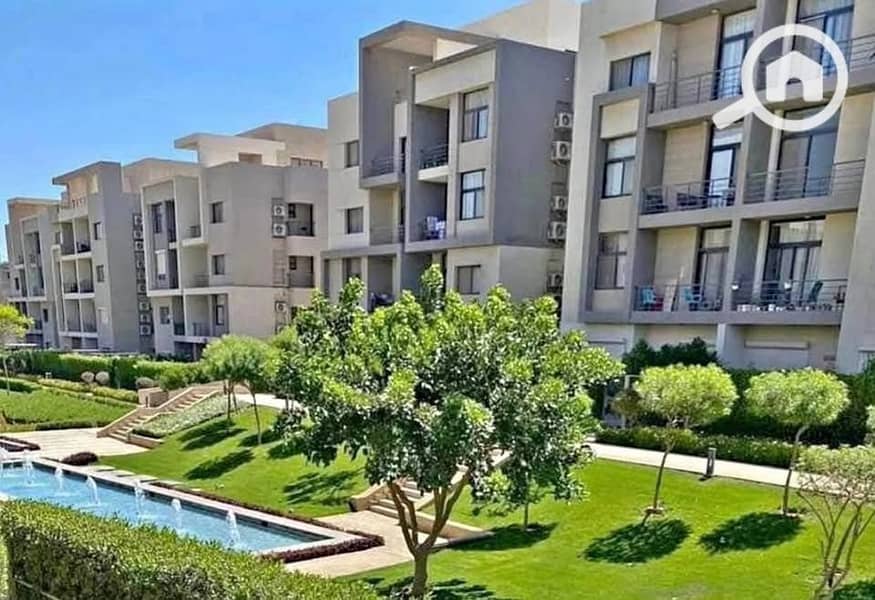 8 557611461_122160164516764430_2147579501119375501_n. jpg