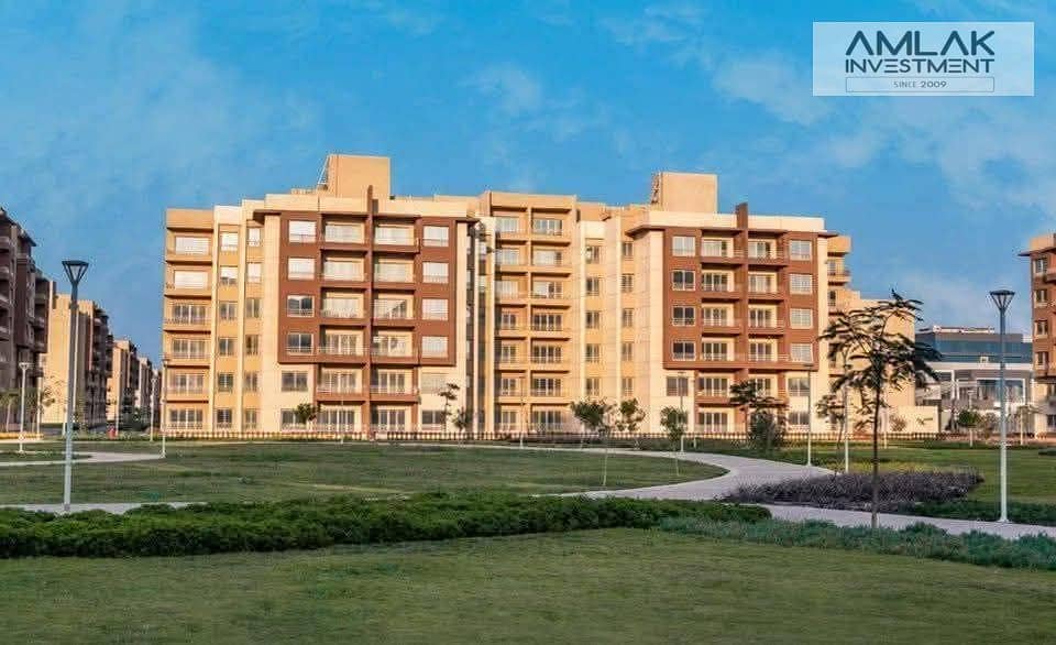 2 1d86f094-327e-4ae3-ac4e-a4de23397fe0. jpeg