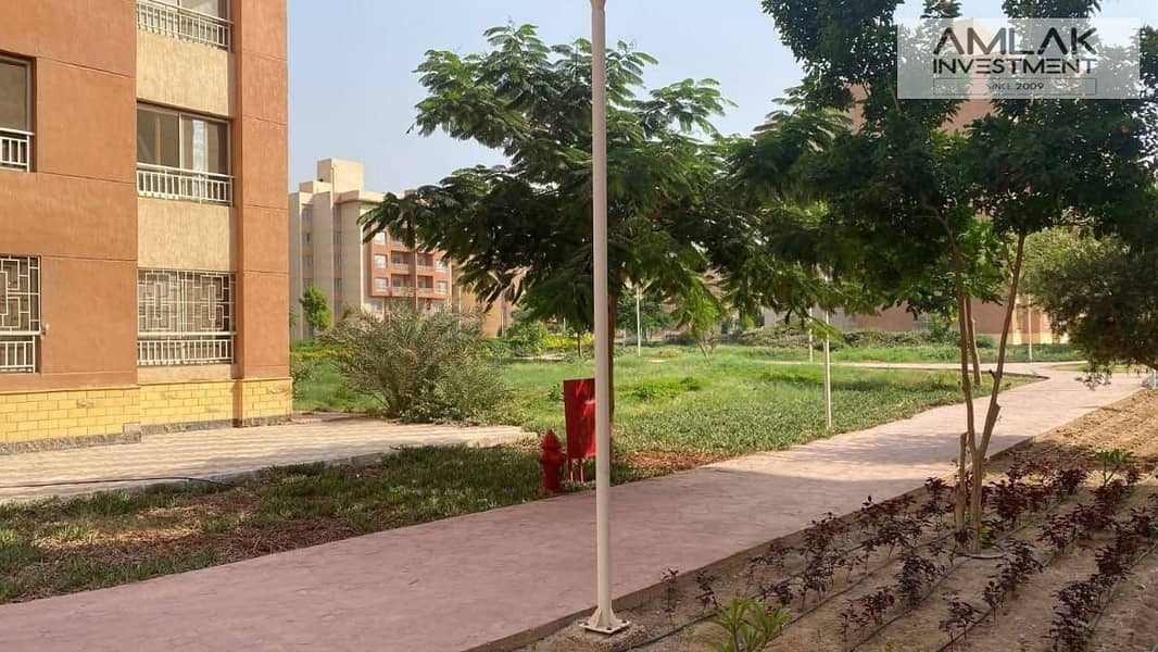 9 d9319985-0366-4f5d-a81b-67ad04881e2f. jpeg