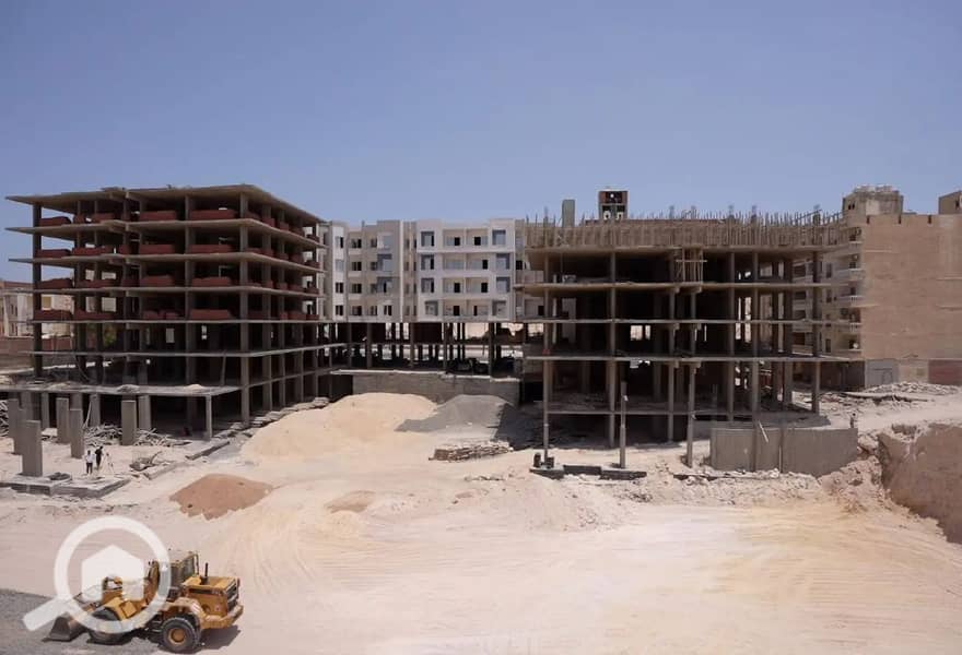 6 7901535-5bbd9o. jpg