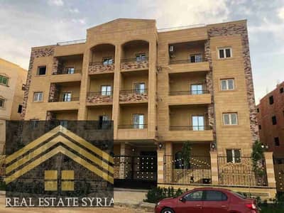 3 Bedroom Apartment for Rent in Shorouk City, Cairo - 1000397388. jpg