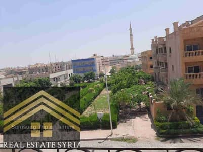 3 Bedroom Flat for Rent in Shorouk City, Cairo - 1000402363. jpg