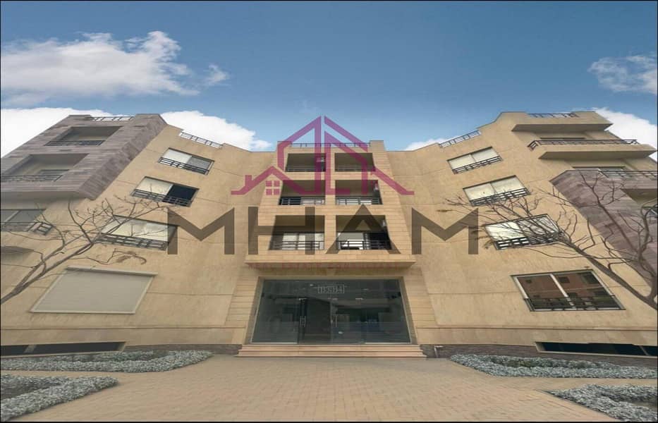 2 photo_5807415754591243240_y. jpg