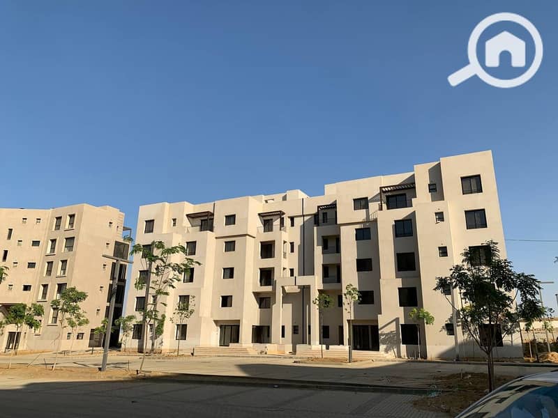 6 photo_3_2023-07-11_07-17-30. jpg