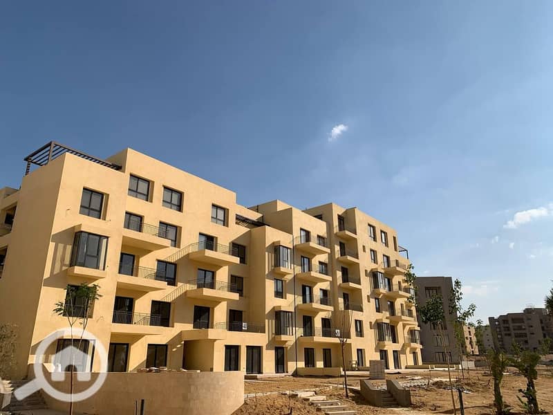 8 photo_9_2023-07-11_07-16-35. jpg