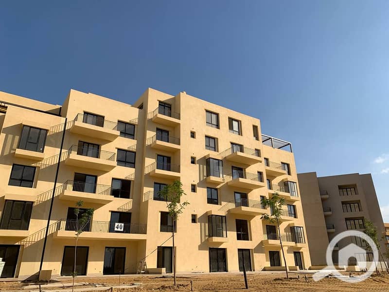 9 photo_9_2023-07-11_07-16-53. jpg