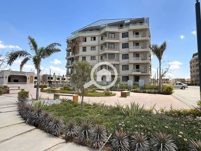 12 photo_12_2024-05-13_15-40-47. jpg