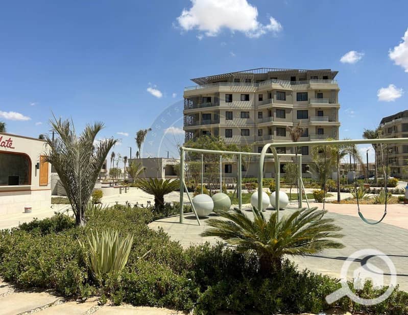 6 photo_3_2025-02-10_11-46-39. jpg