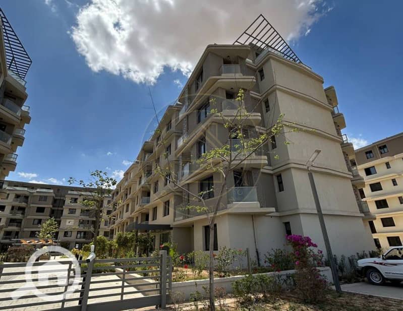 10 photo_9_2025-02-10_11-46-39. jpg