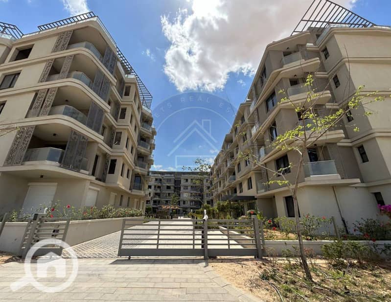 5 photo_4_2025-02-10_11-46-39. jpg