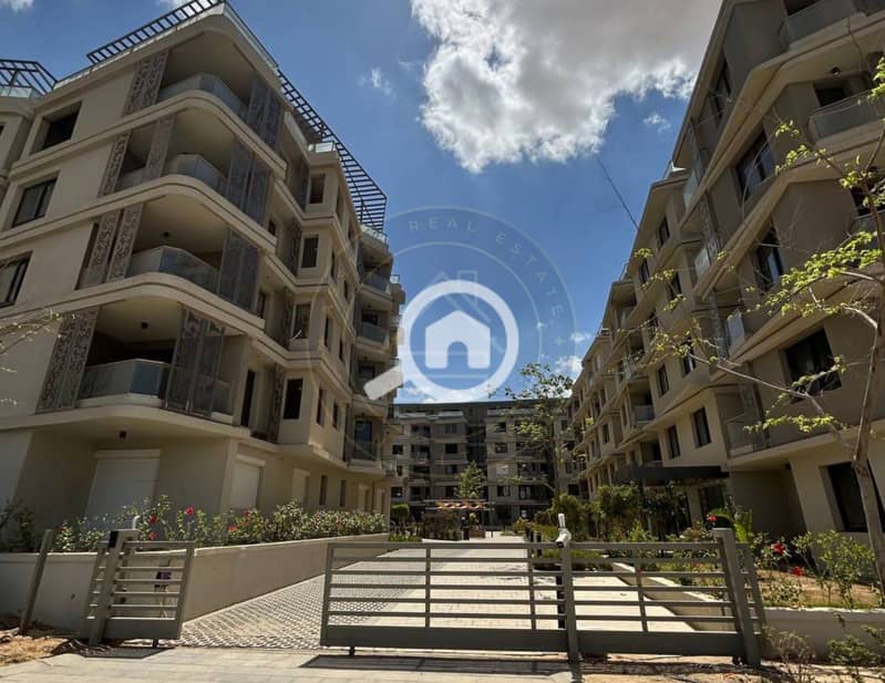 6 photo_5_2025-02-10_11-46-39. jpg