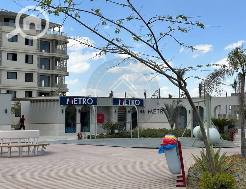 3 photo_6_2025-02-10_11-46-39. jpg