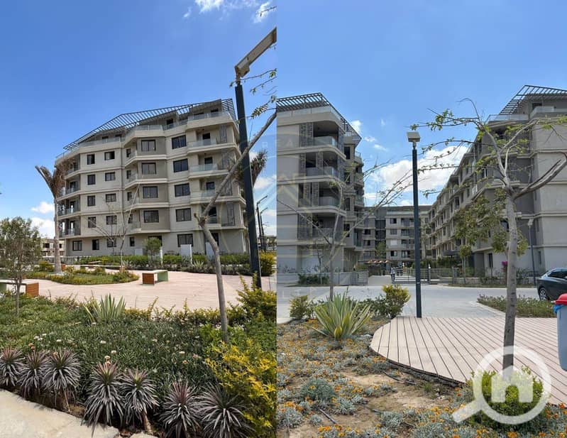 5 photo_7_2025-02-10_11-46-39. jpg