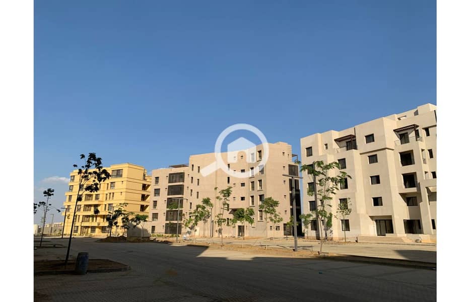 2 photo_4_2025-02-12_13-53-10. jpg