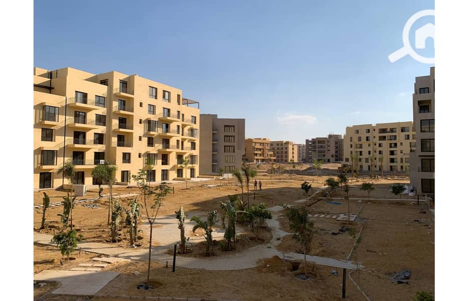 3 photo_5_2025-02-12_13-53-10. jpg