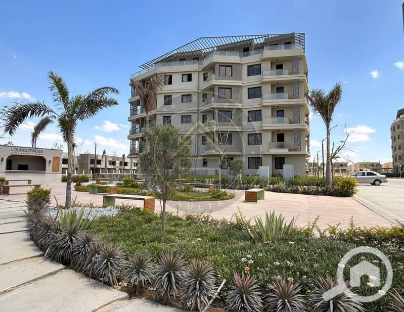 7 photo_1_2025-02-10_11-46-39. jpg