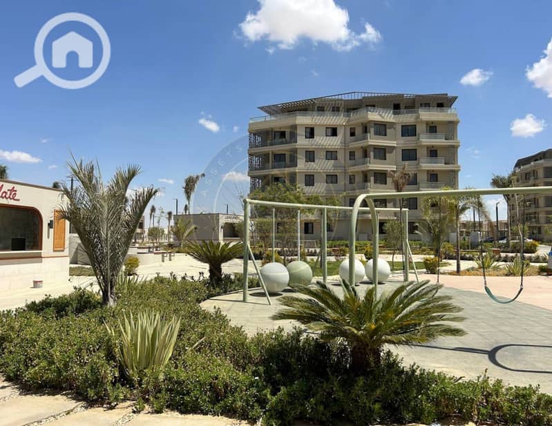 4 photo_3_2025-02-10_11-46-39. jpg