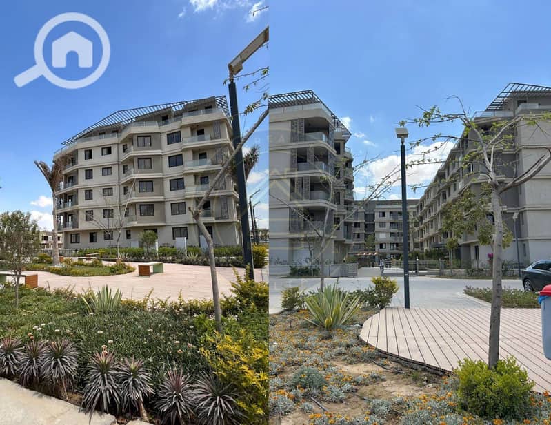 7 photo_7_2025-02-10_11-46-39. jpg