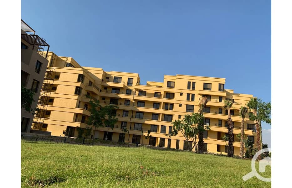 4 photo_33_2025-02-12_13-53-10. jpg