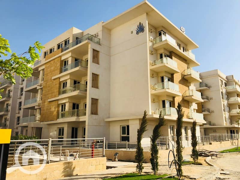 photo_3_2024-11-17_14-54-19. jpg photo_3_2024-11-17_14-54-19. jpg