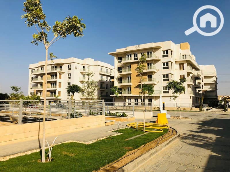 4 photo_16_2024-11-17_14-54-19. jpg