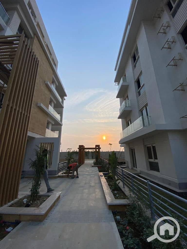 12 photo_30_2024-11-17_14-54-19. jpg