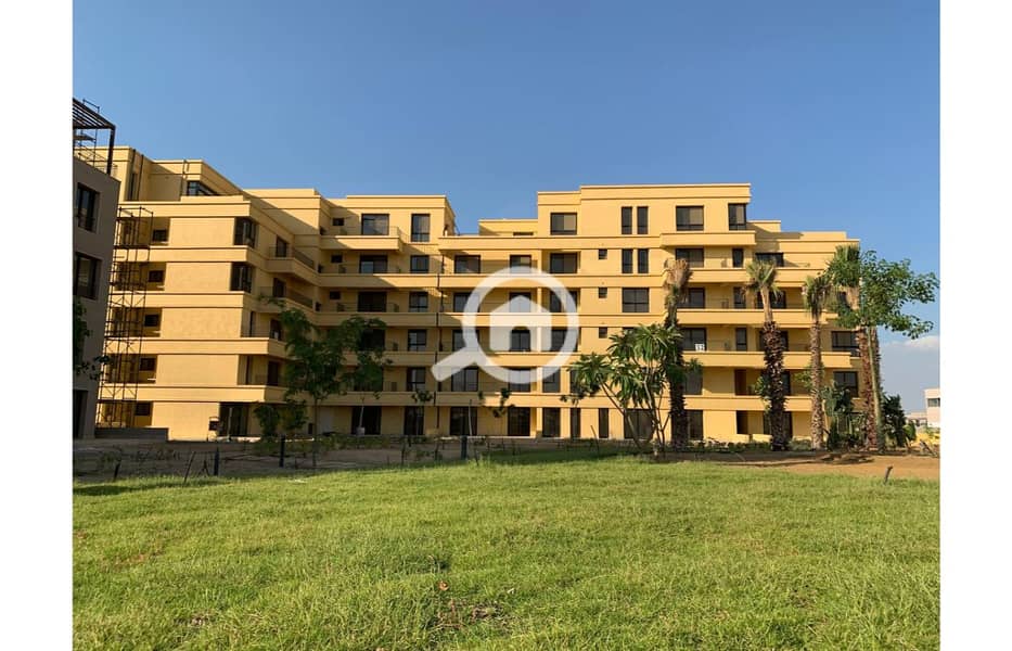 8 photo_52_2025-02-12_13-53-10. jpg