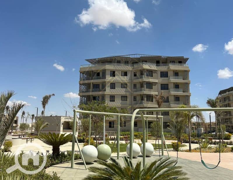 4 photo_8_2025-02-10_11-46-39. jpg