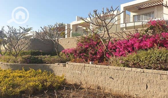 10 Screenshot 2025-07-07 163719. png