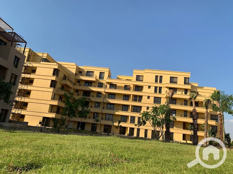 4 photo_33_2025-02-12_13-53-10. jpg