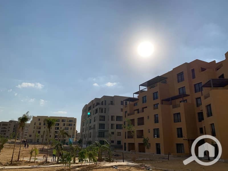 9 photo_58_2025-02-12_13-53-10. jpg