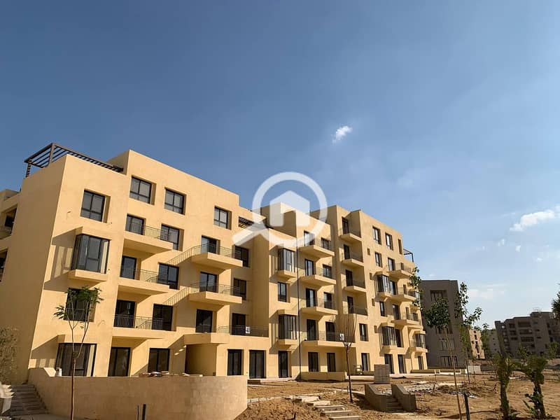 11 photo_62_2025-02-12_13-53-10. jpg