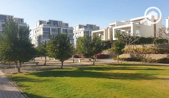 6 Screenshot 2025-07-07 163658. png