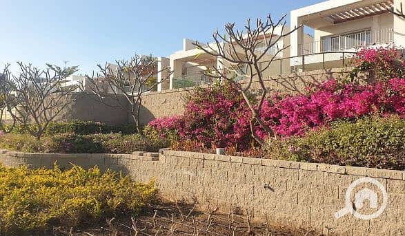 12 Screenshot 2025-07-07 163719. png