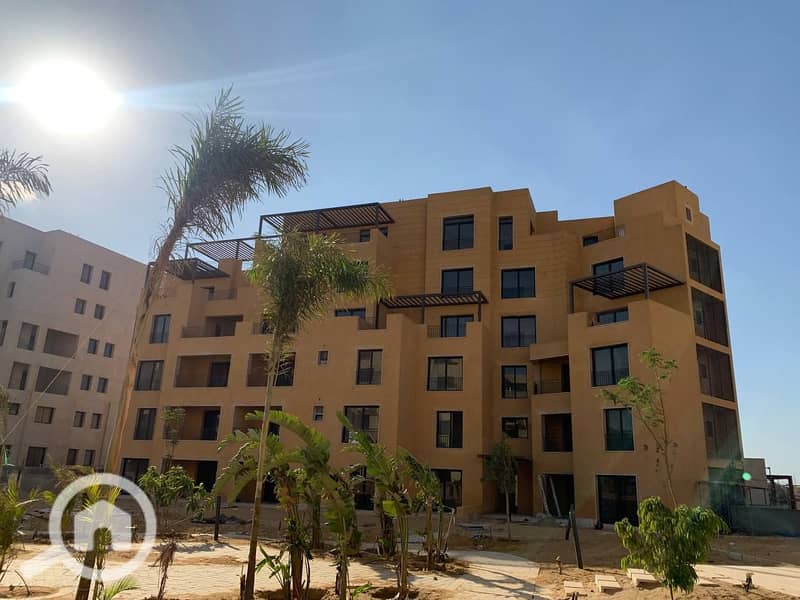 3 photo_15_2025-02-12_13-53-10. jpg