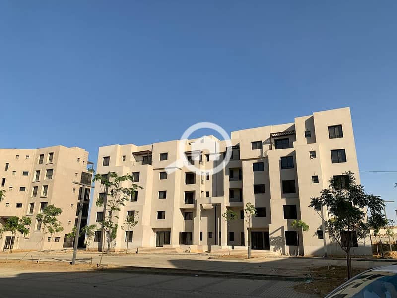 9 photo_20_2025-02-12_13-53-10. jpg