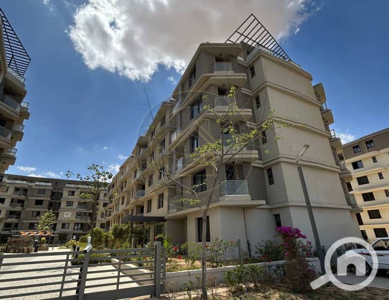 6 photo_9_2025-02-10_11-46-39. jpg