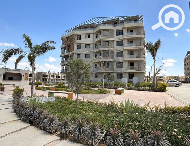 8 photo_1_2025-02-10_11-46-39. jpg