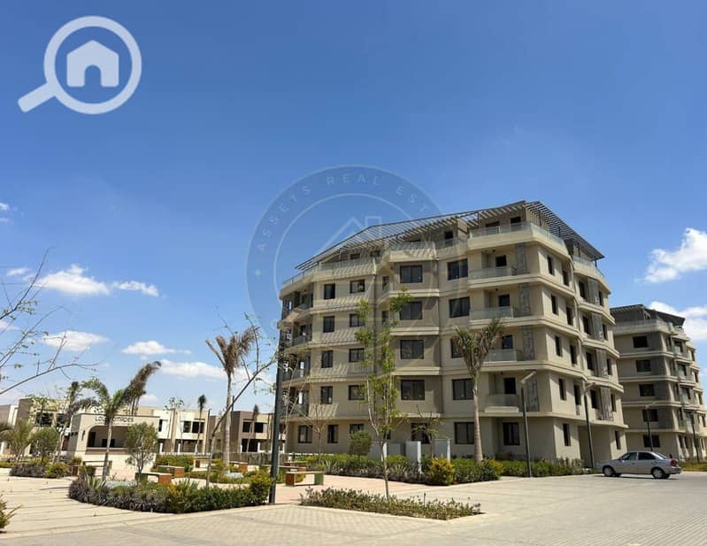 9 photo_2_2025-02-10_11-46-39. jpg