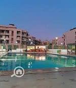 4 Screenshot 2025-03-06 124051. png