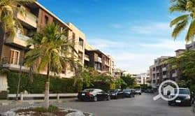 5 Screenshot 2025-03-06 124137. png