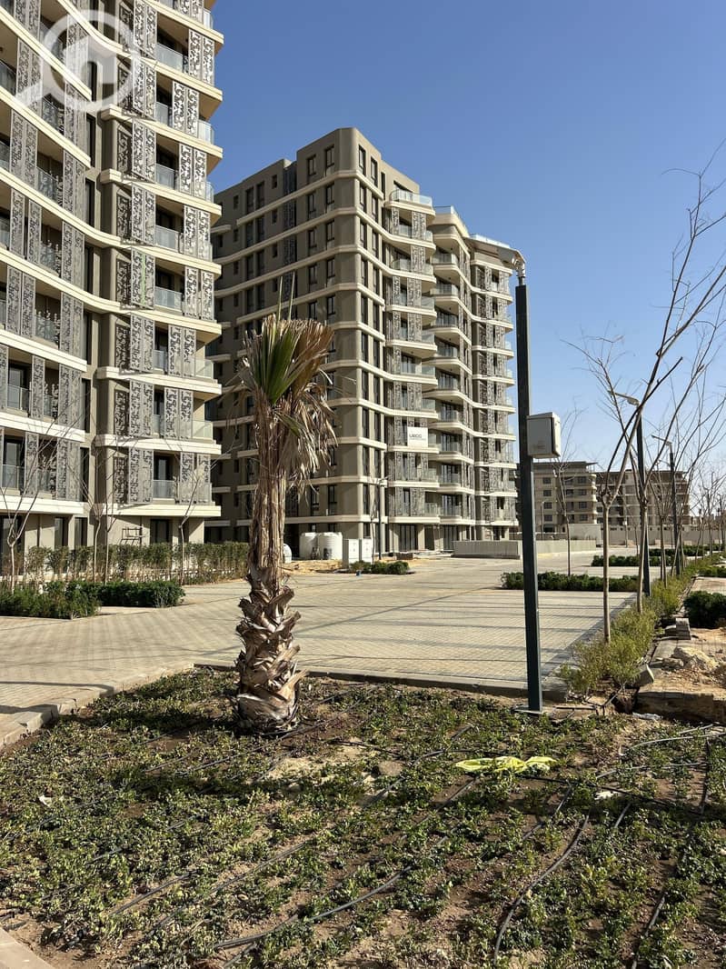 6 WhatsApp Image 2025-05-20 at 11.39. 47 AM. jpeg