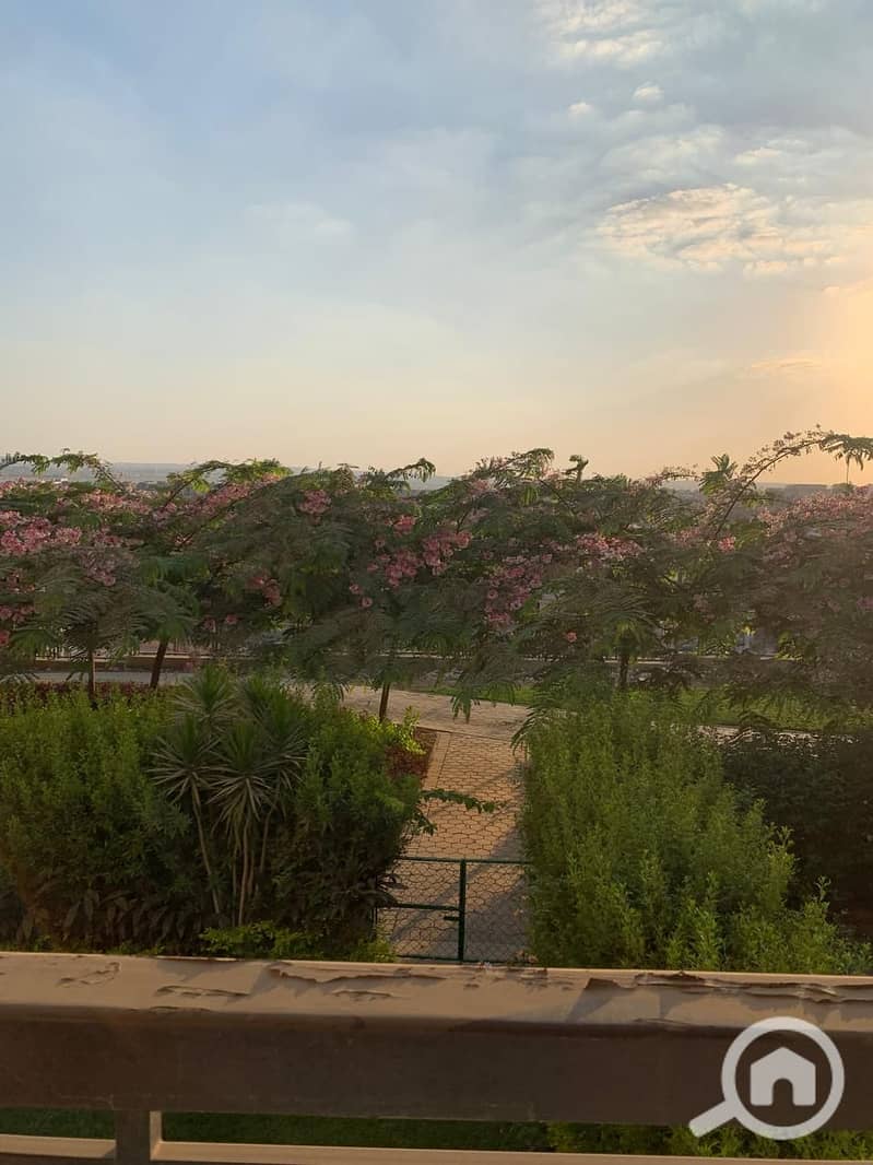 2 WhatsApp Image 2025-09-27 at 12.05. 00 AM (1). jpeg